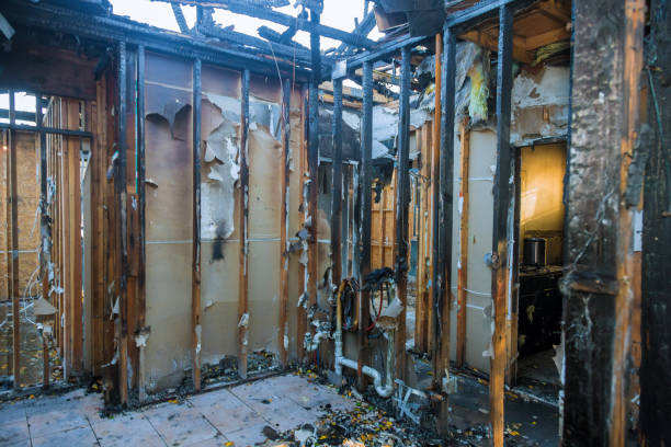 Professional Smoke Damage Removal technician working in Wauconda, IL